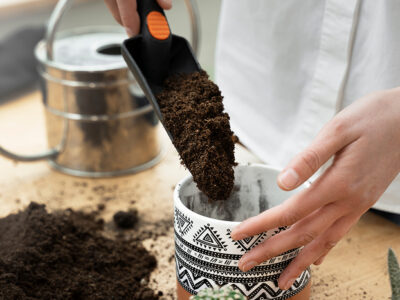 abonos orgánicos sólidos (compost, estiércoles y otros)