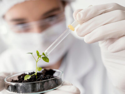 Abonos Orgánicos Líquidos