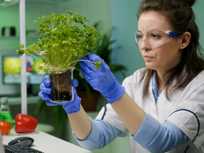 análisis de sustrato