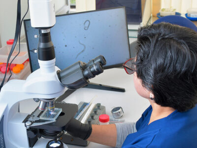 Análisis nematológico