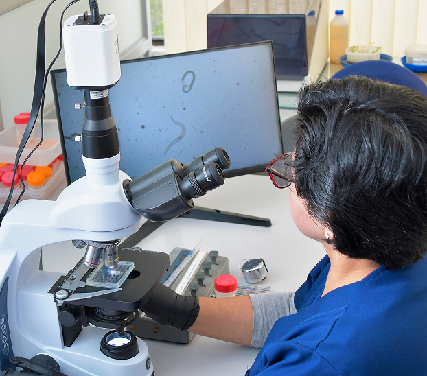 AgrarProjekt - Análisis de Suelo